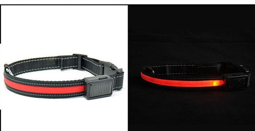 Solarpup Led Reflective Collar: Keep Your Furry Friend Safe And