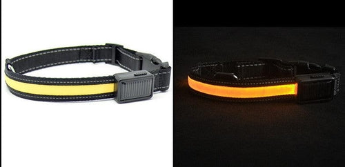 Solarpup Led Reflective Collar: Keep Your Furry Friend Safe And