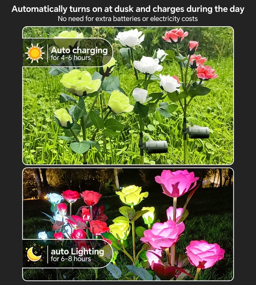Solar Powered Integrated LED Stainless Steel Pathway Light